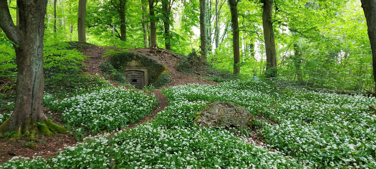 Flecken Coppenbrügge