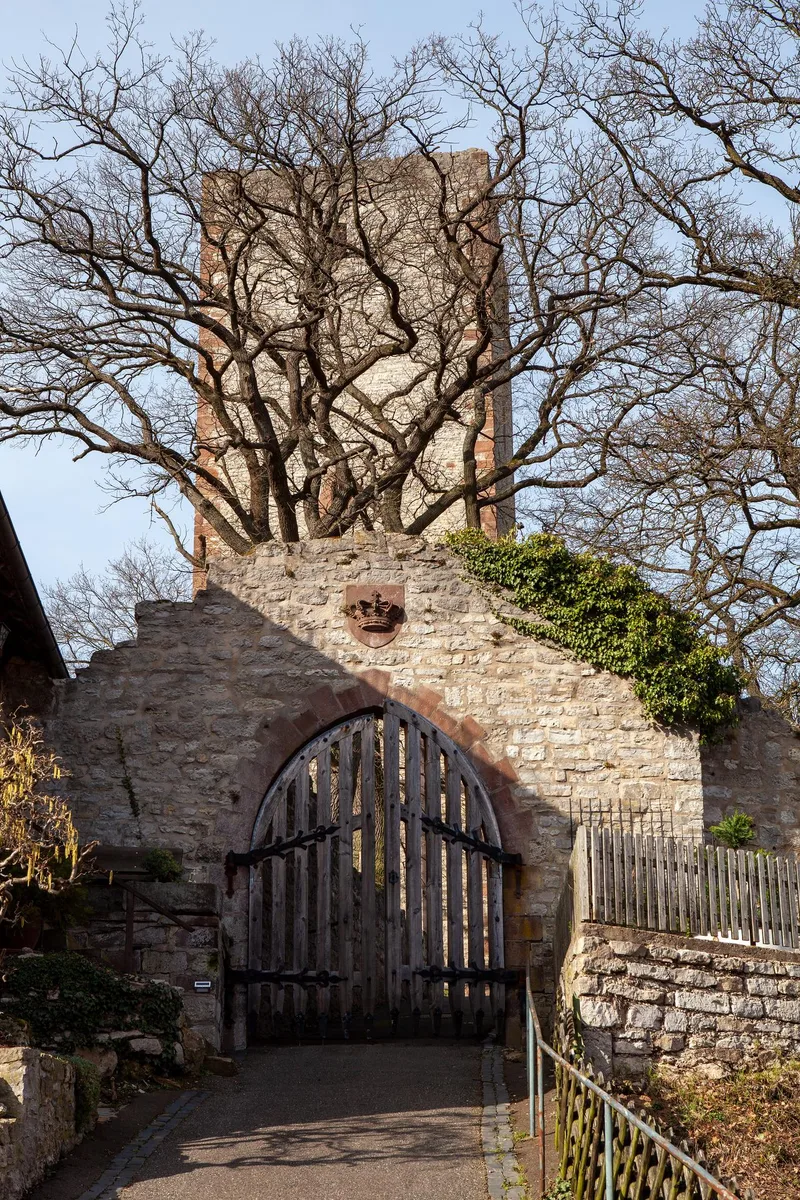 Steinerner Bergfried der Greener Burg hinter einer Mauer mit Holztor, davor kahle Bäume
