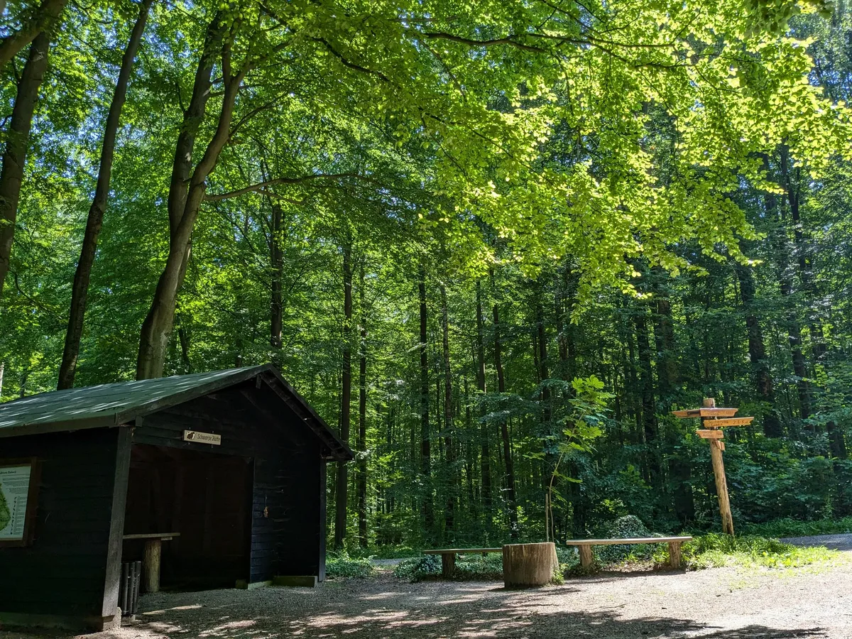 Hölzerne Schutzhütte mit Bank und Wegweiser an einem Waldplatz im Buchenwald