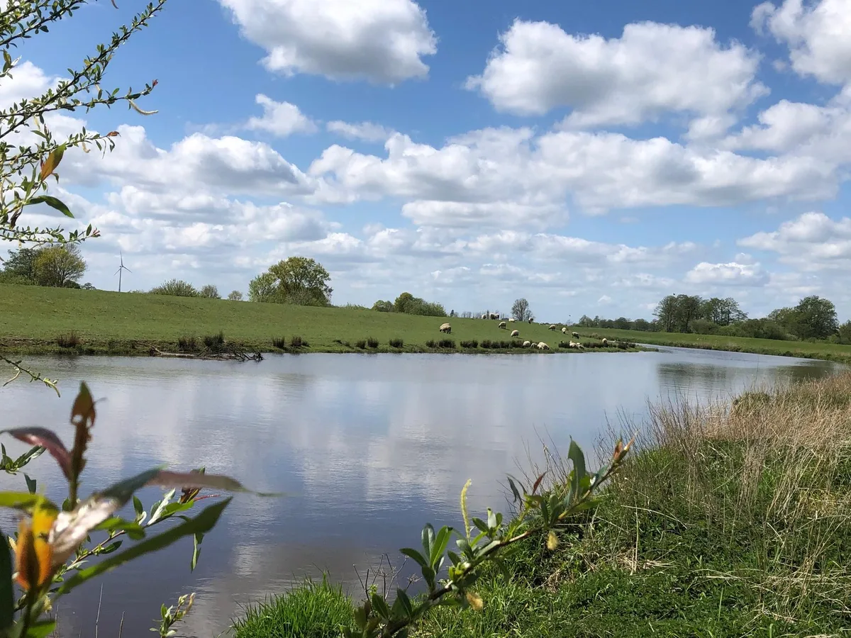 Wasserlauf mit Weideland an der Ammerland-Route, am Ufer grasen Schafe unter hohem Wolkenhimmel