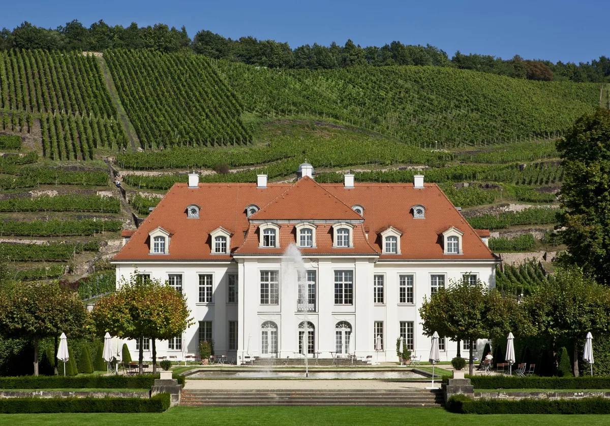 Weingut Schloss Wackerbarth mit Wasserbecken im Garten, dahinter steigen die Weinbergterrassen an