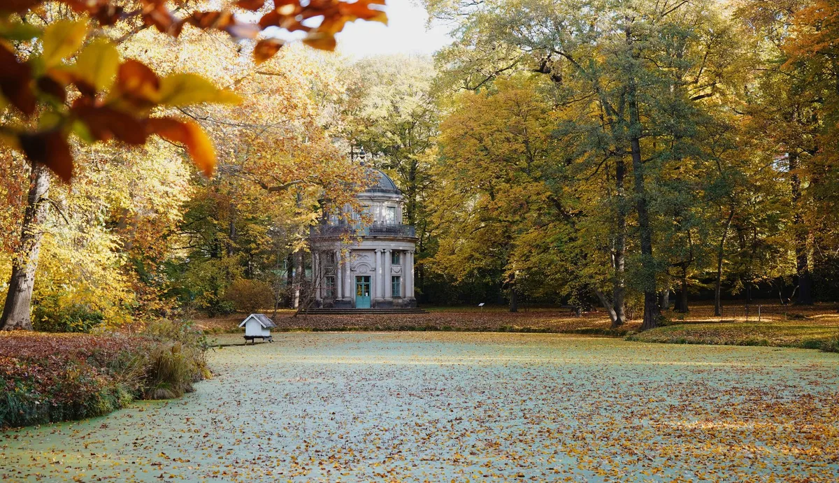 Englischer Pavillon im herbstlichen Schlosspark Pillnitz, davor ein von Laub bedeckter Teich