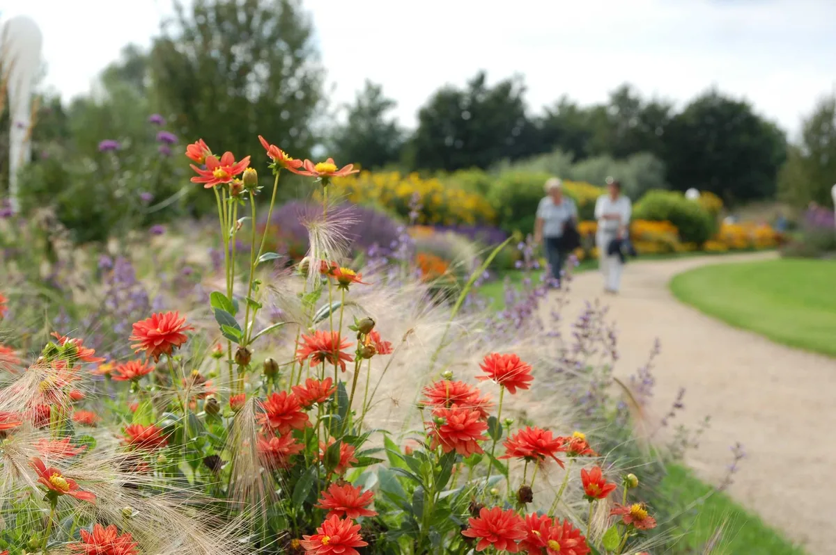 Breiter Sandweg zwischen spätsommerlichen Staudenbeeten im Park der Gärten, im Hintergrund zwei Spaziergänger