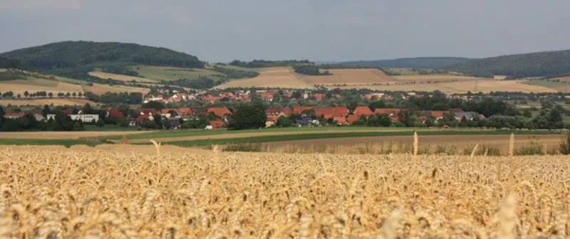 Drüber
