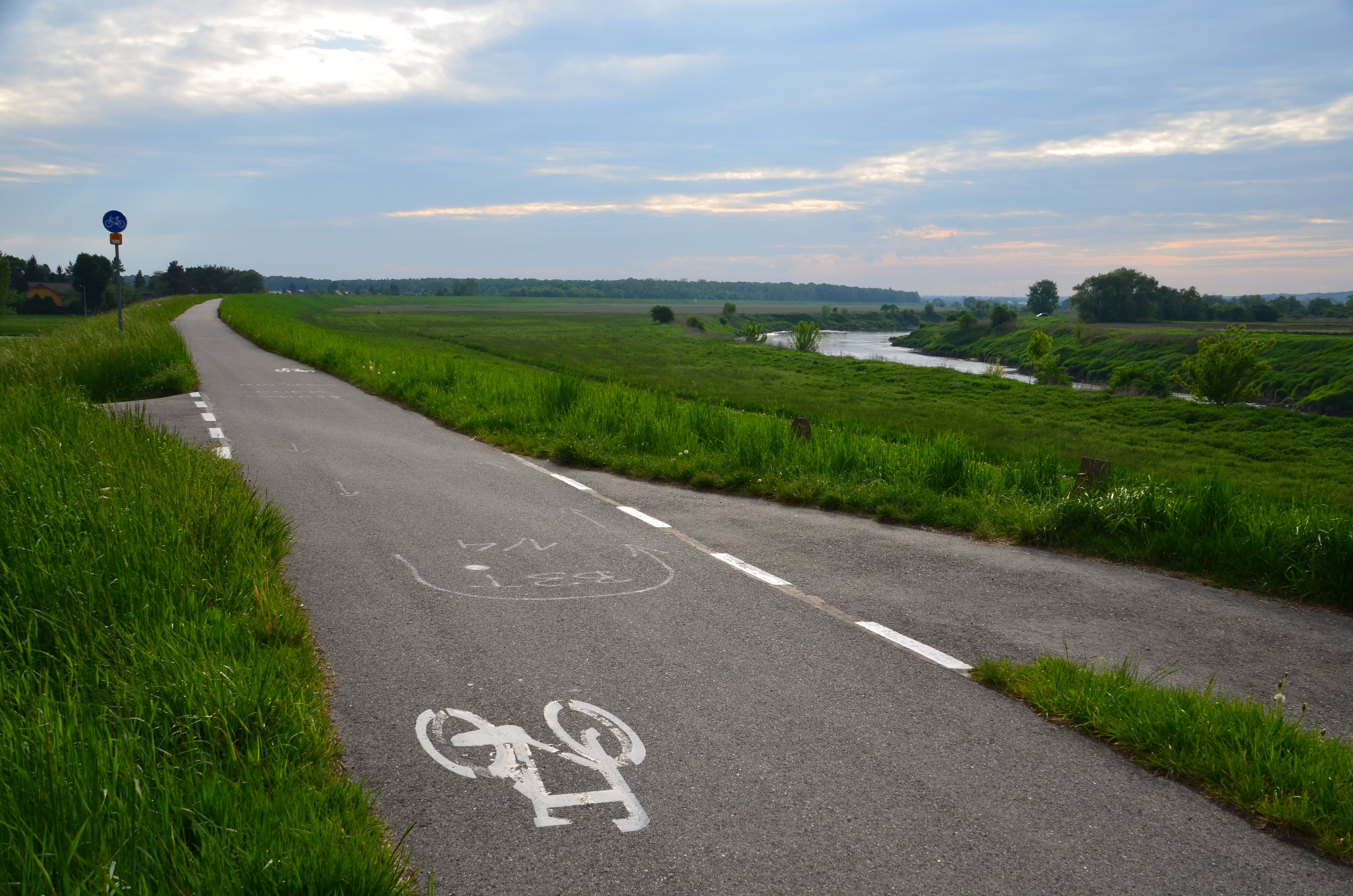 Asphaltierter Radweg mit aufgemaltem Fahrradsymbol führt durch eine grüne Flussaue, rechts im Bild der Fluss