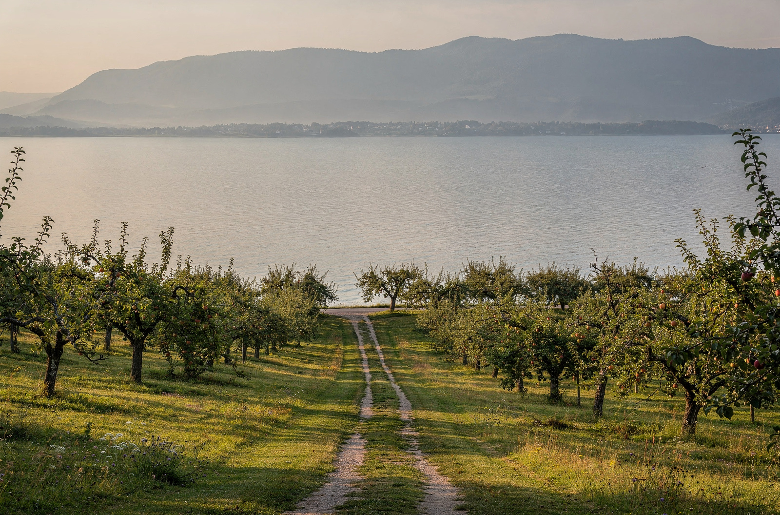 Bodensee