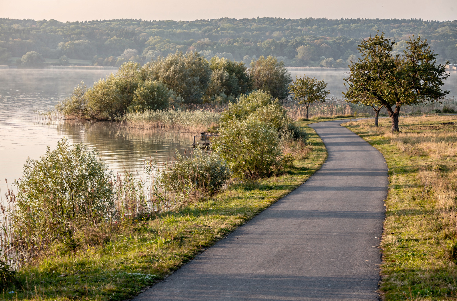 Radtour zur Insel Reichenau