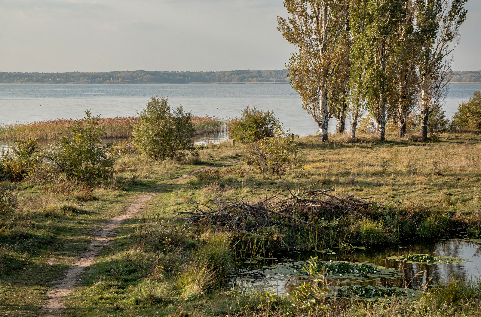 Uferpark Wäsen
