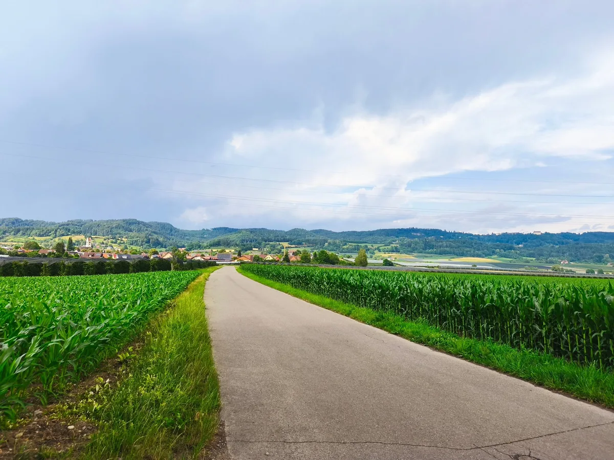 Asphaltierter Feldweg zwischen zwei Maisfeldern, dahinter ein Dorf mit Kirchturm am Hang und gestaffelte bewaldete Hügelzüge unter bewölktem Himmel.