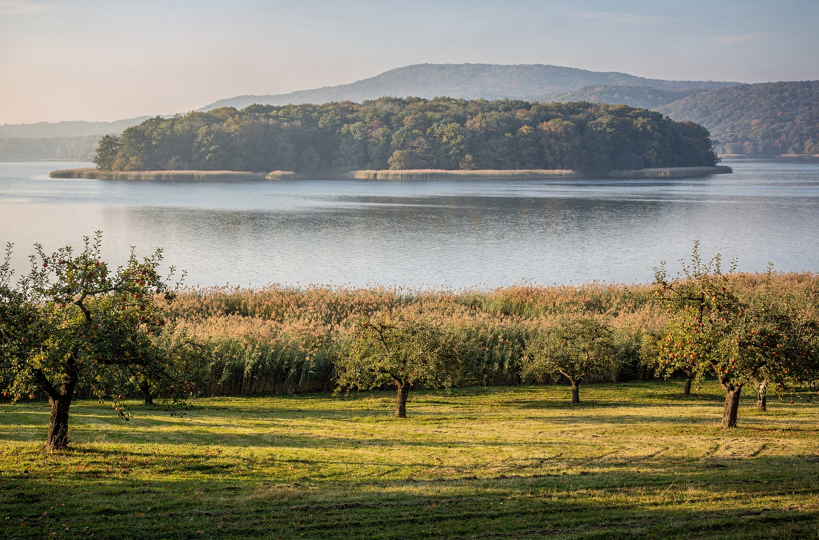 Rund um den Untersee