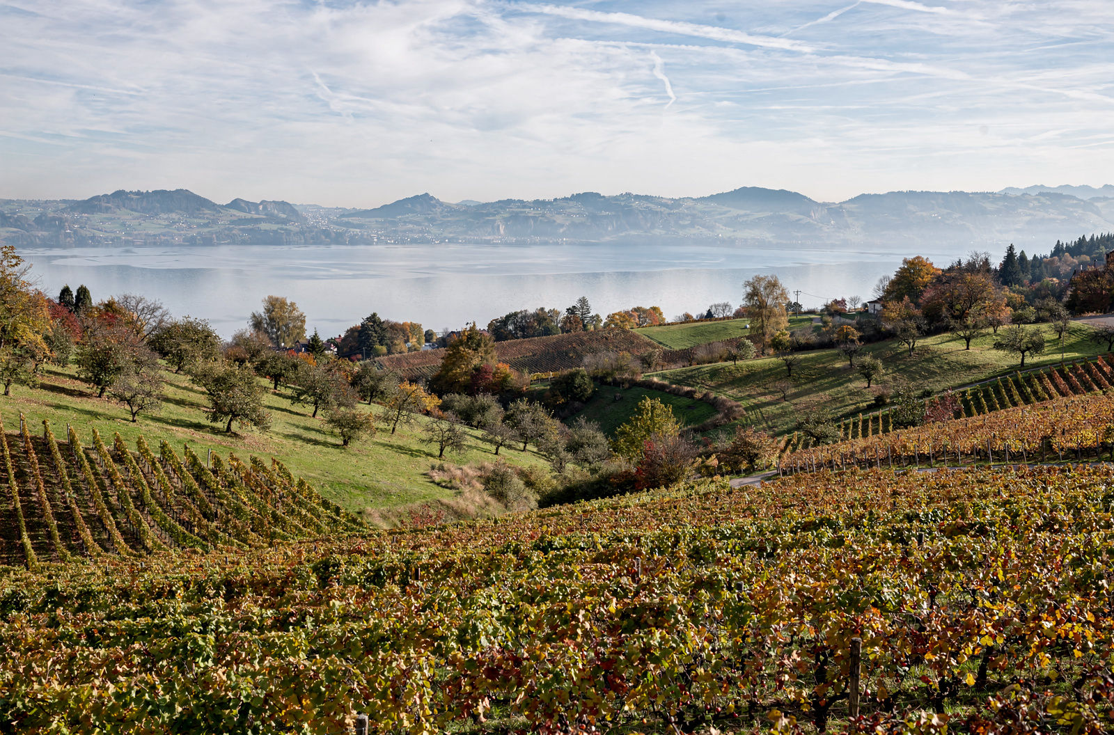 Wasser, Wein, Barock