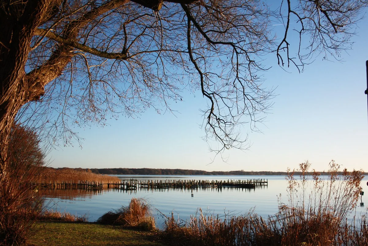 Blick unter einem kahlen Laubbaum hindurch über das Zwischenahner Meer, im Vordergrund Schilf am Ufer, im Wasser eine lange Reihe alter Holzpfähle.