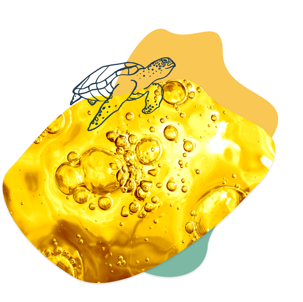 turtle on bubbles