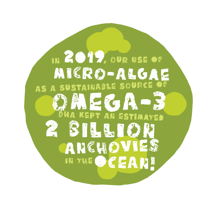omega 3 infographic