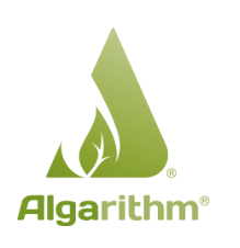 Algarithm logo