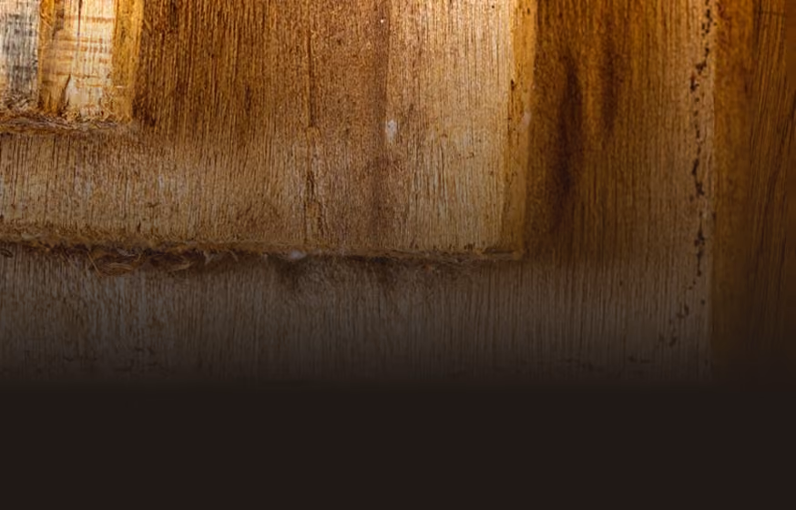 Stacked softwood timber