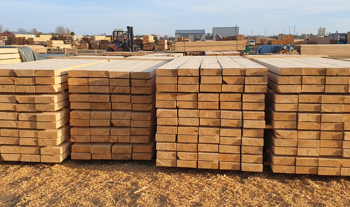Stacked softwood timber