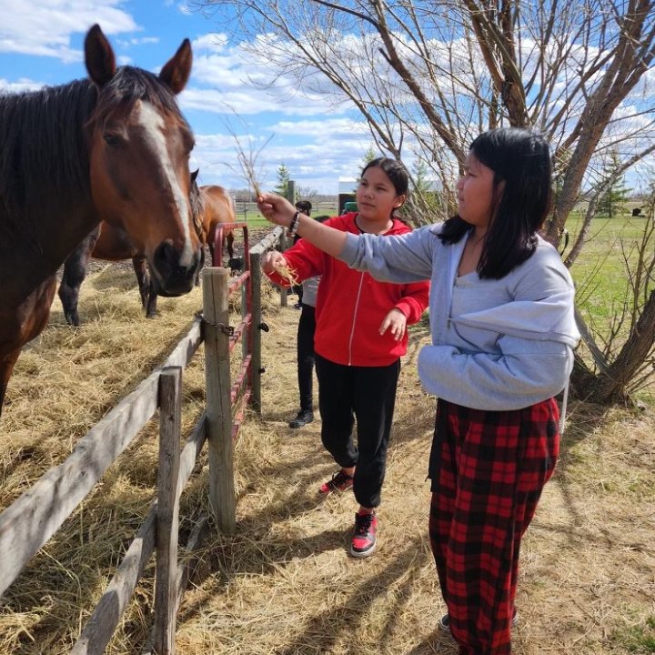 Youth interacting with a horse during an activity-based session