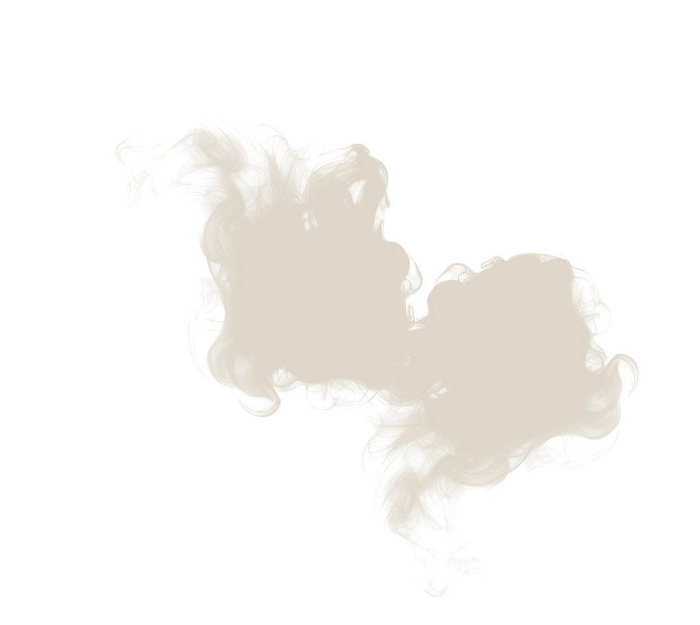 a map of the country of new zealand