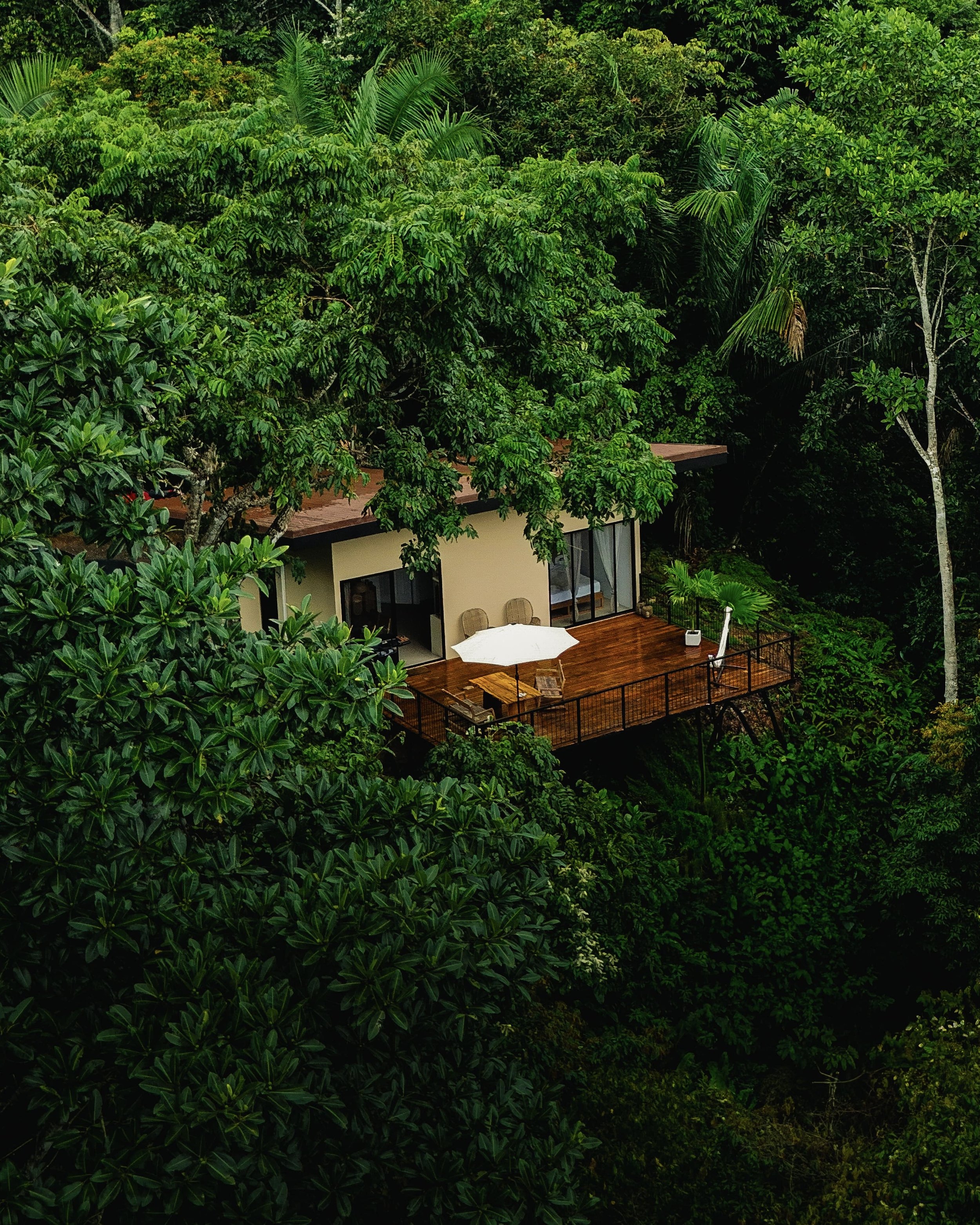 Aerial view of a lodge tucked into the rainforest canopy