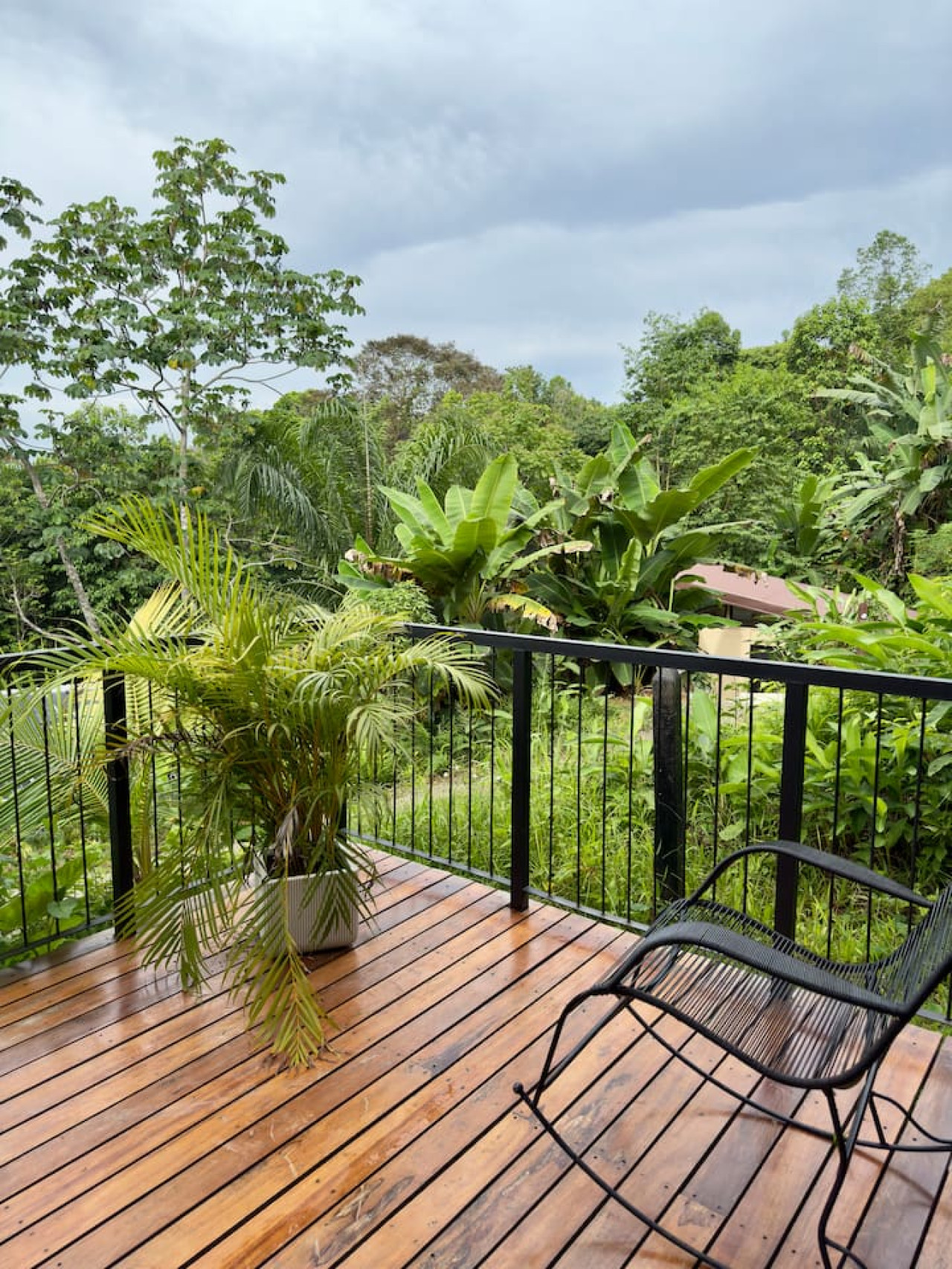 Morpho Lodge terrace