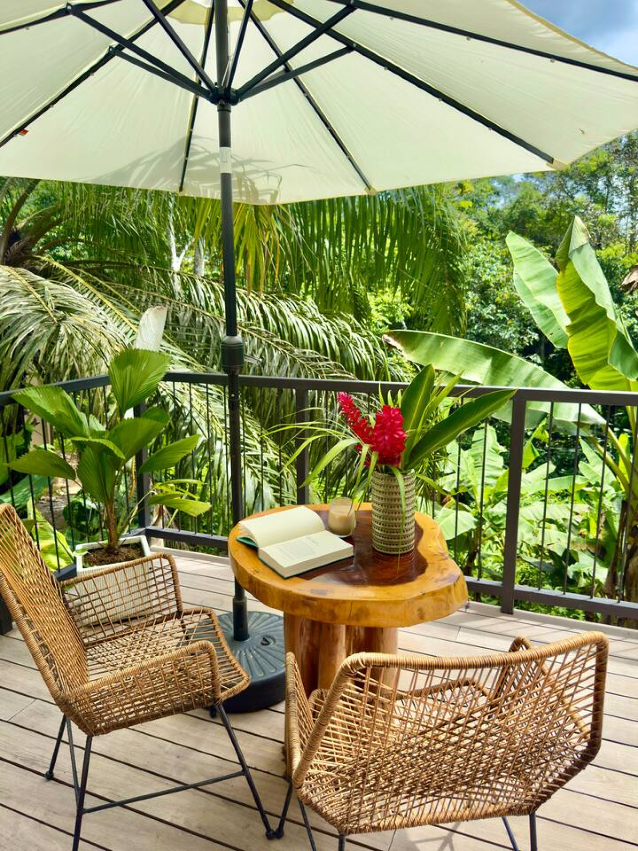 Turtle Lodge terrace