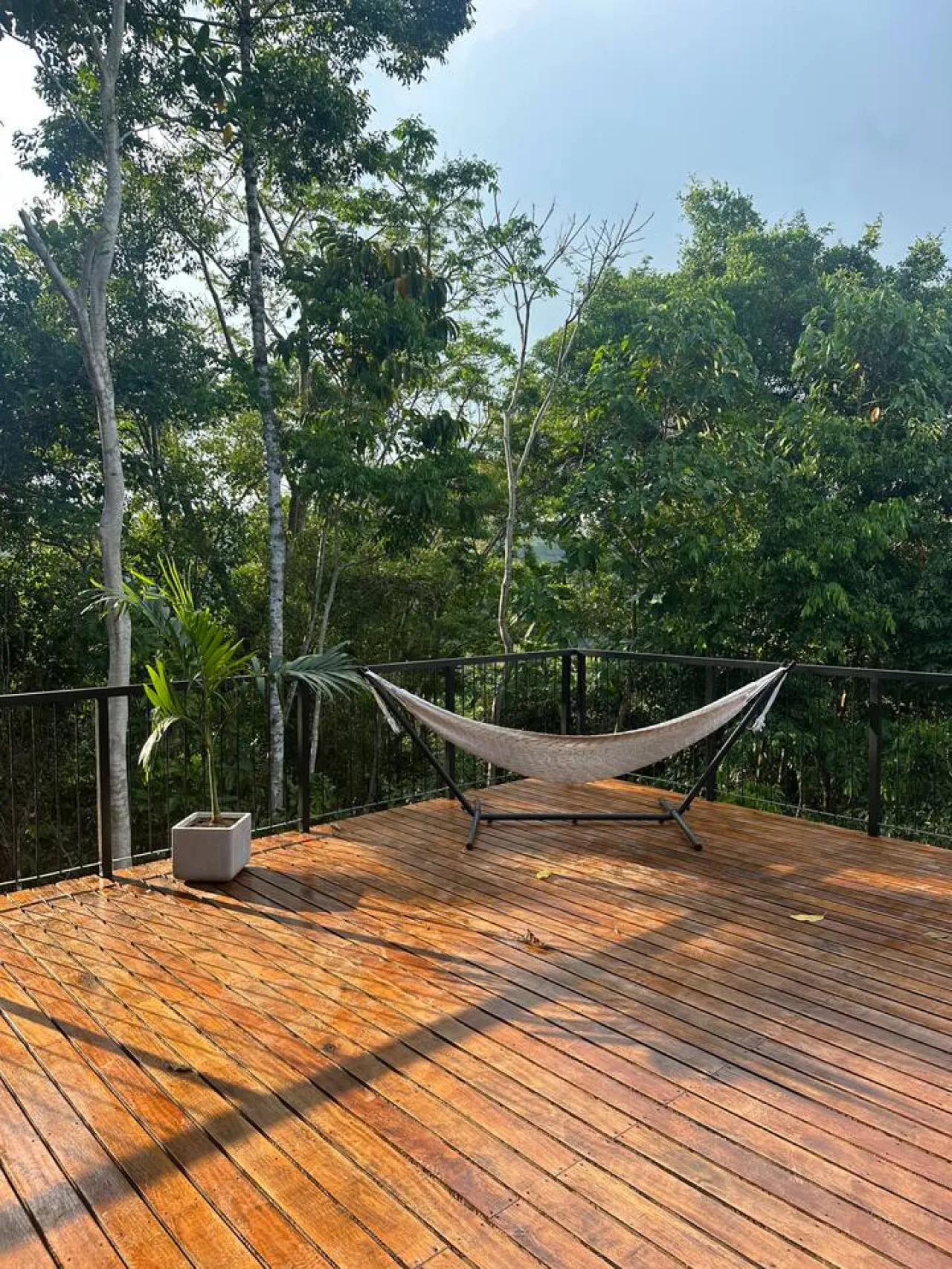 Hammock on the Toucan Lodge terrace