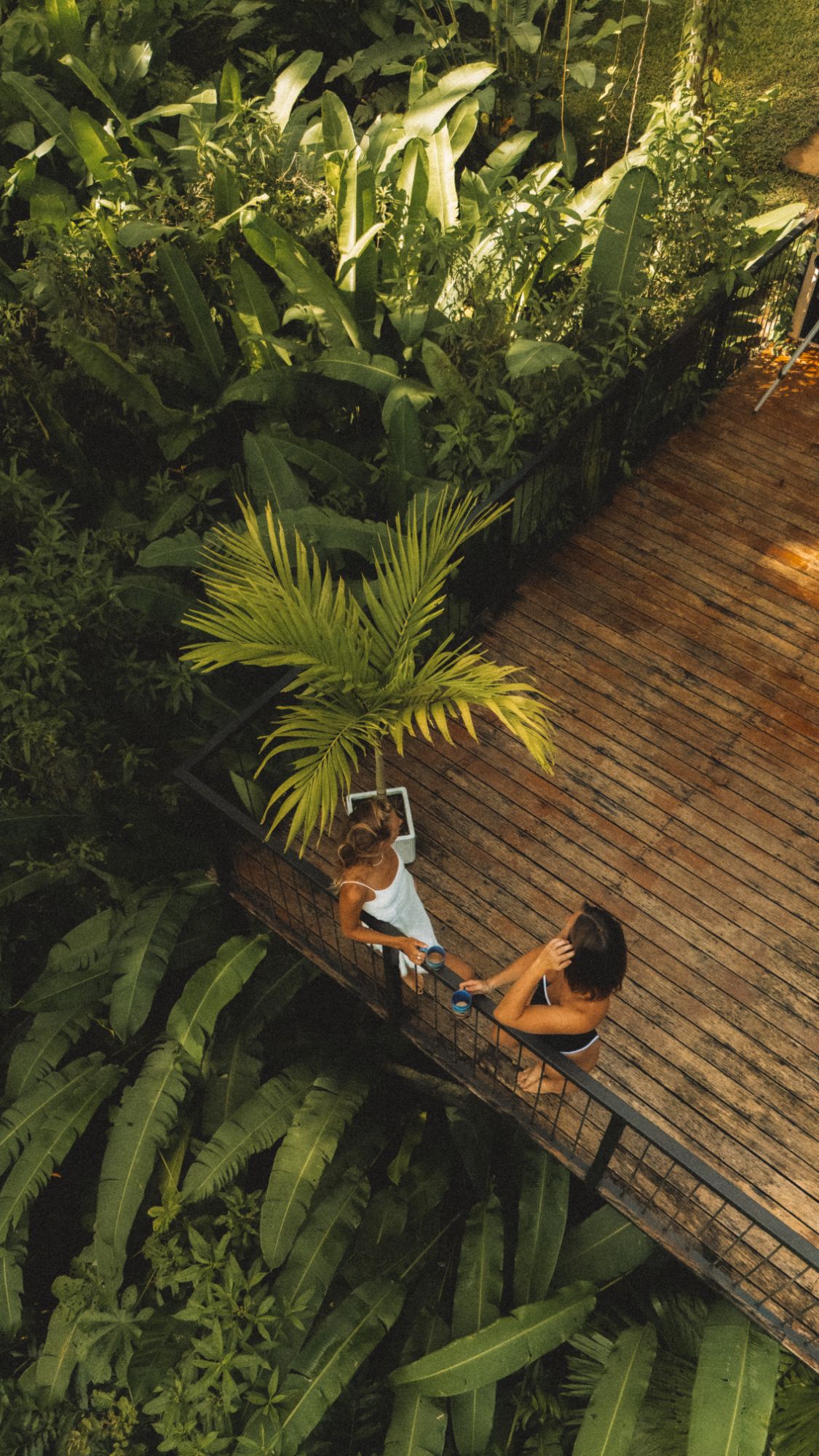 Breakfast on a terrace overlooking the jungle