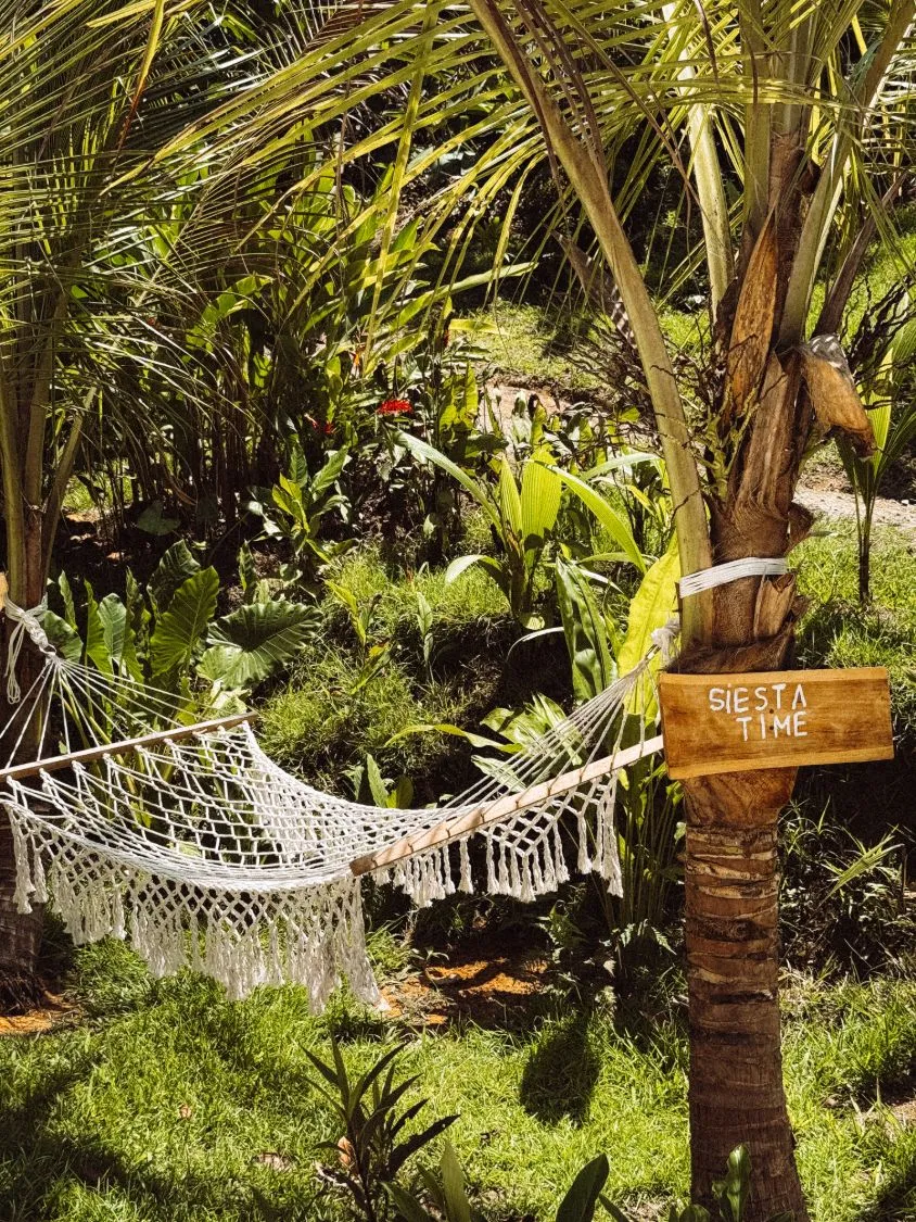 Hammock on a sun-lit wooden deck in the jungle