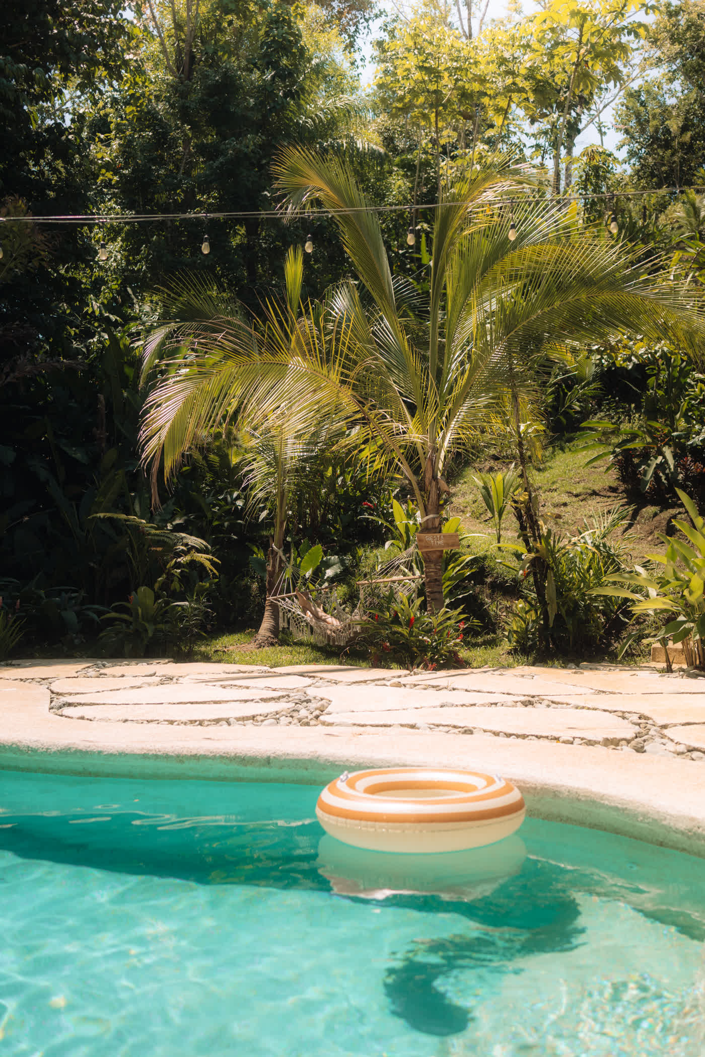 The pool at Maze Lodge, ringed by palms and rainforest