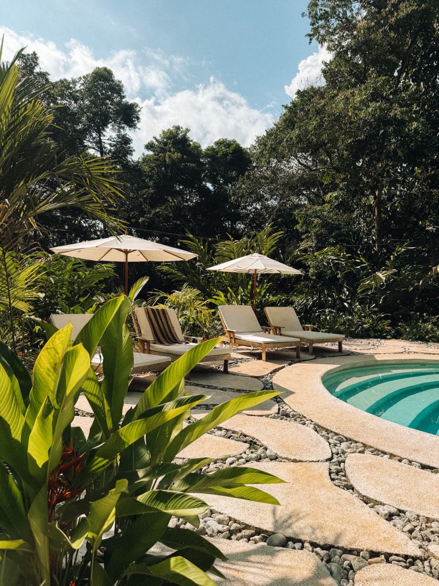 Aerial view of Maze Lodge and the pool surrounded by jungle