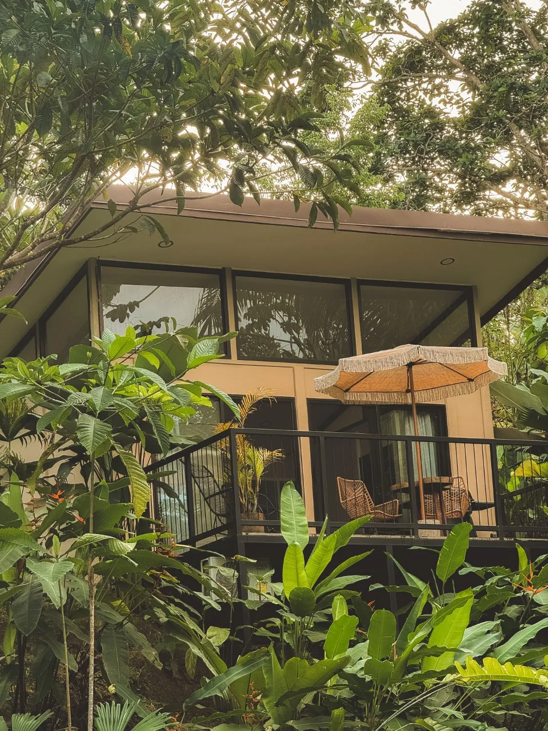 Turtle Lodge behind banana leaves