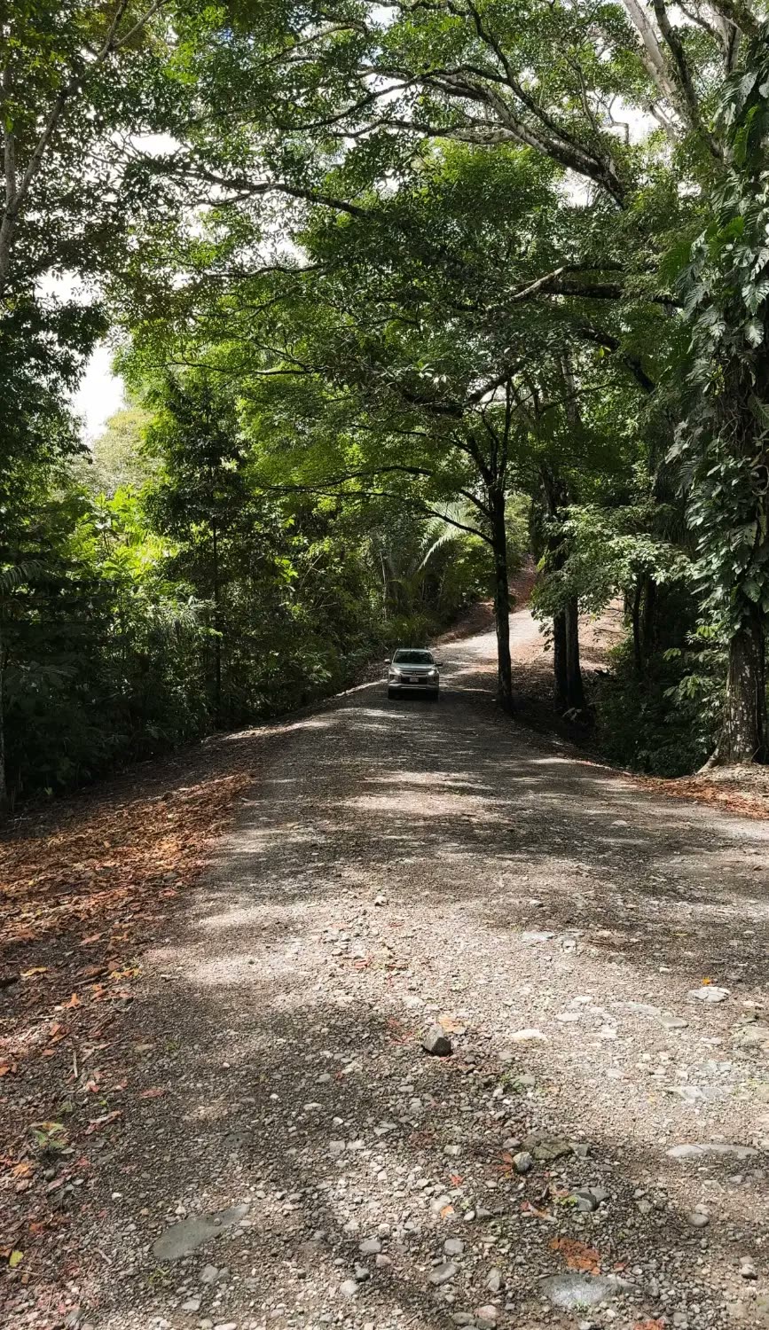 The gravel road up to Maze Lodge