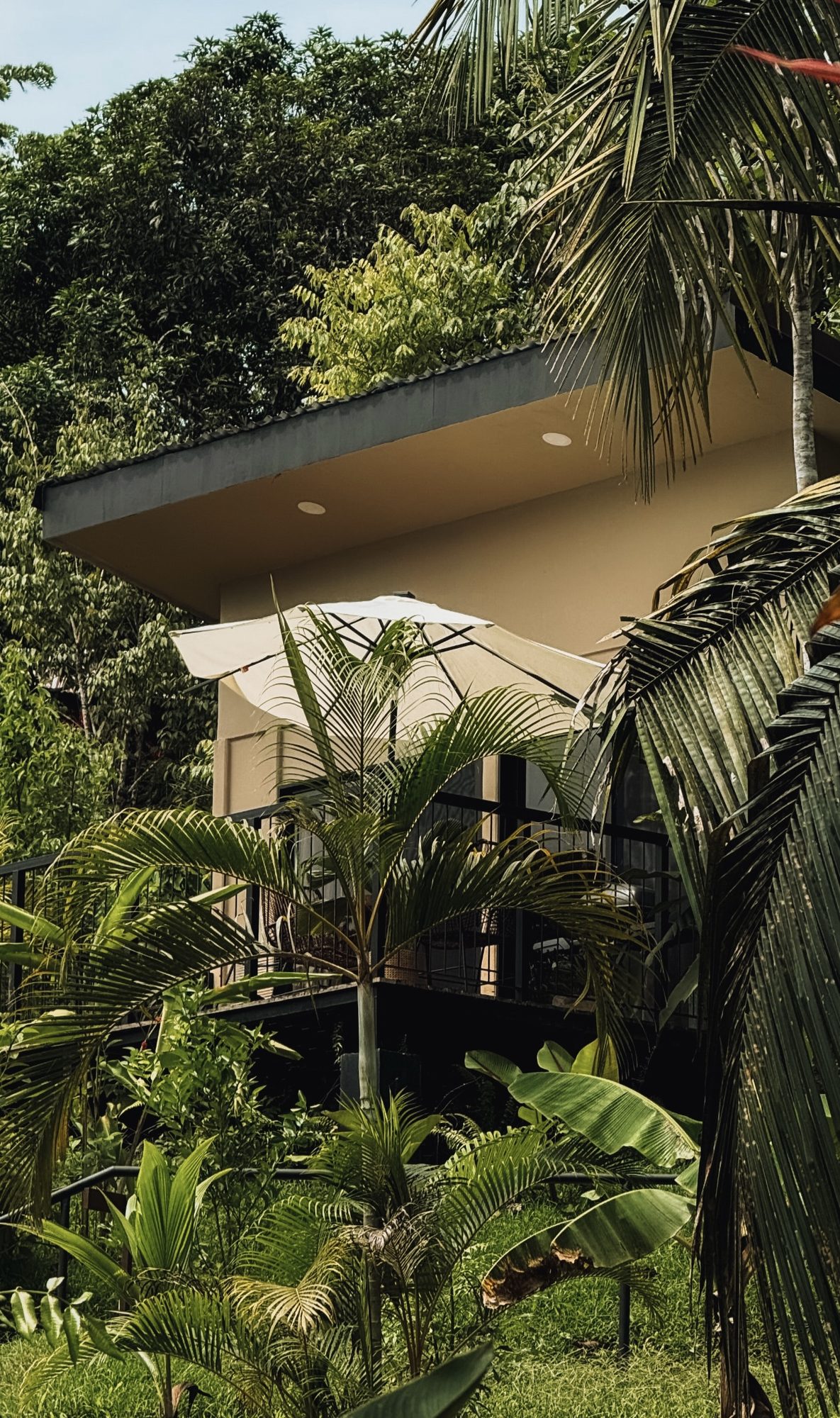 Morpho Lodge with its terrace in the trees