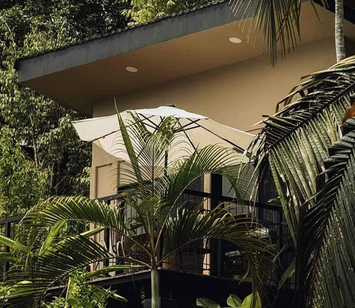 Morpho Lodge with its terrace in the trees