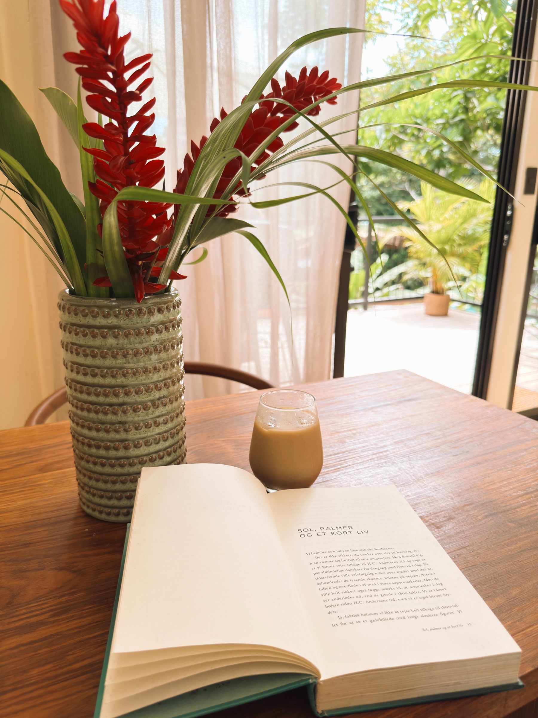 A vase of red tropical flowers, an open book and an iced coffee on the table
