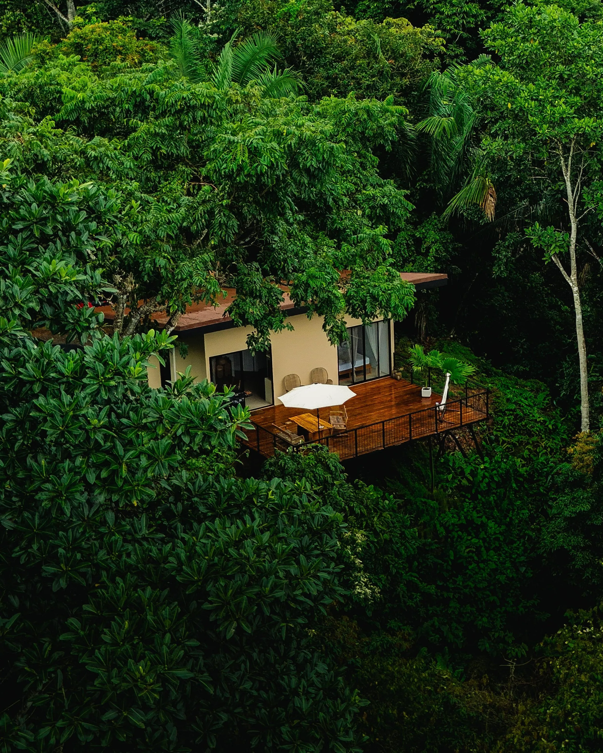 The best time to visit the Osa Peninsula: month by month