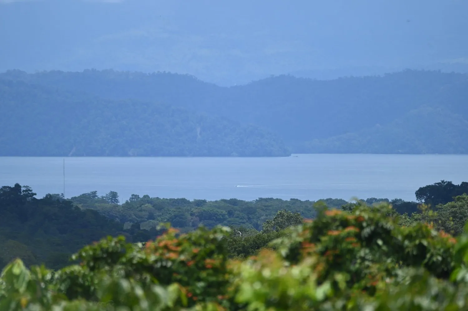 Drake Bay or Puerto Jiménez? Choosing your side of the Osa