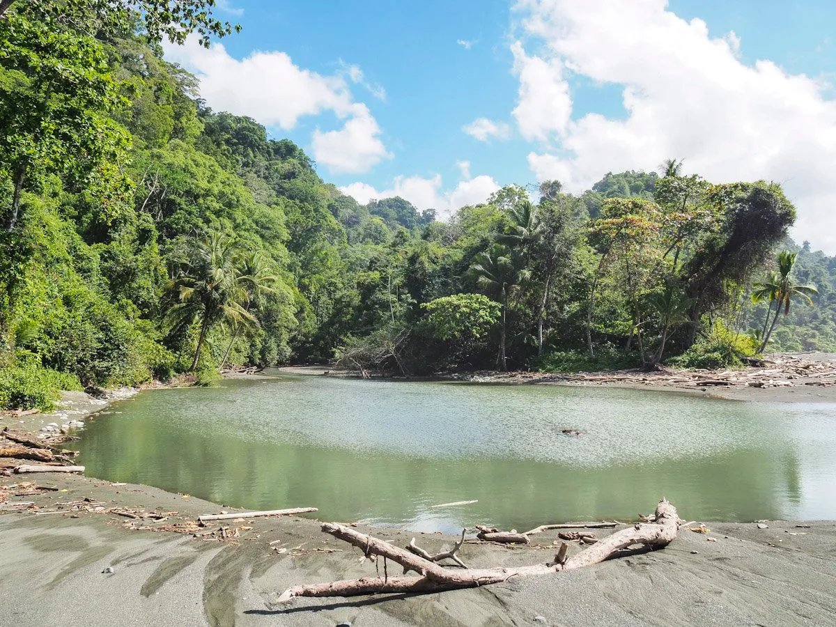 Sirena, La Leona or El Tigre? Choosing your Corcovado entrance