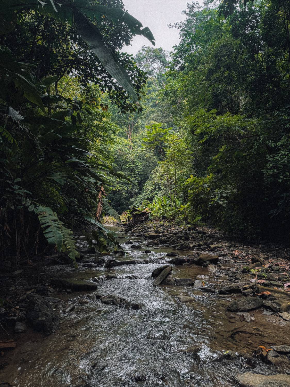 What to pack for the Osa Peninsula (and what to leave at home)