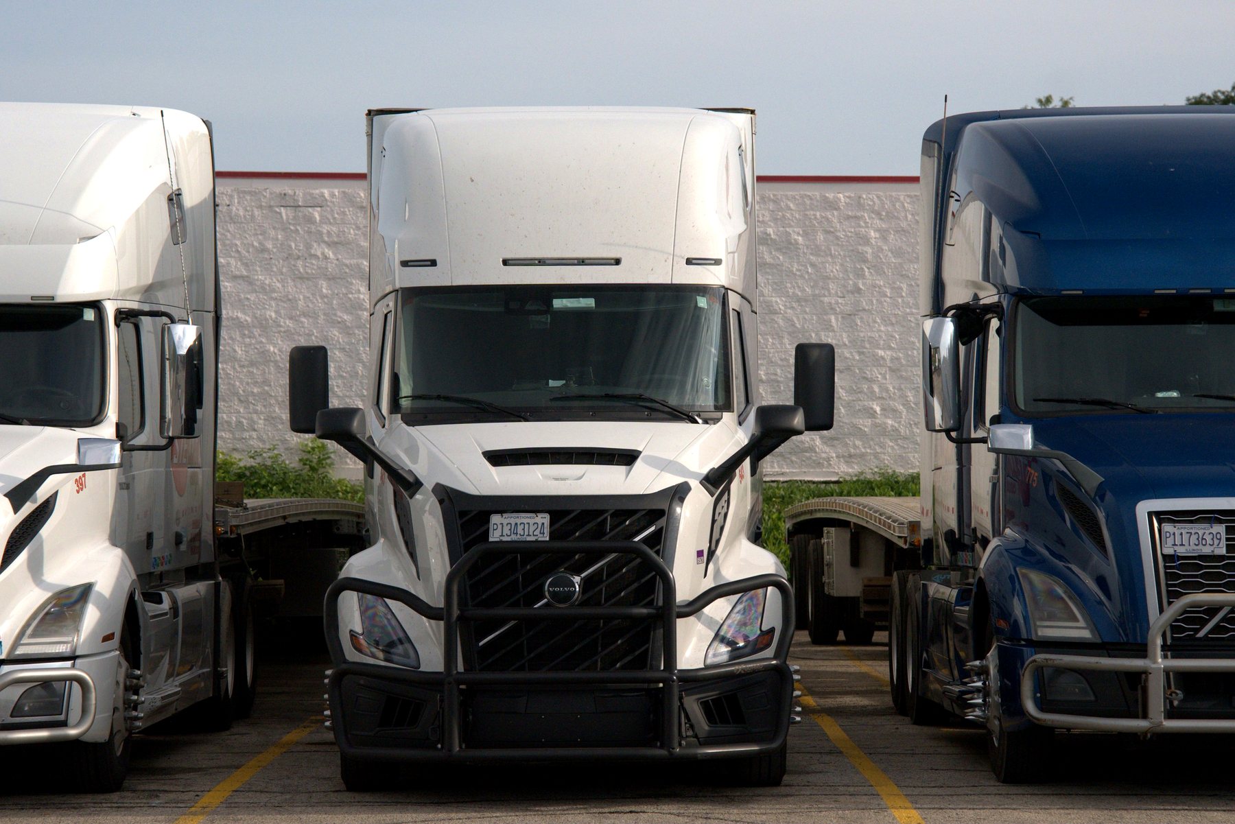 Stellar Cargo tractors lined up front-on at the terminal