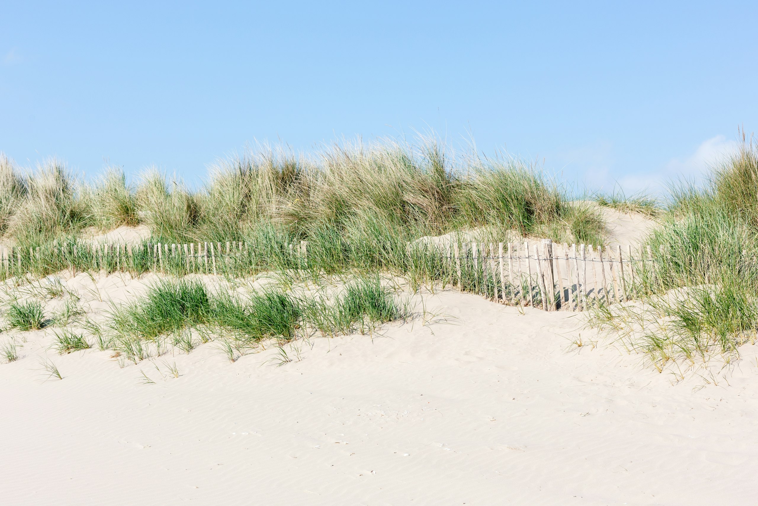 Dune fences on the beach