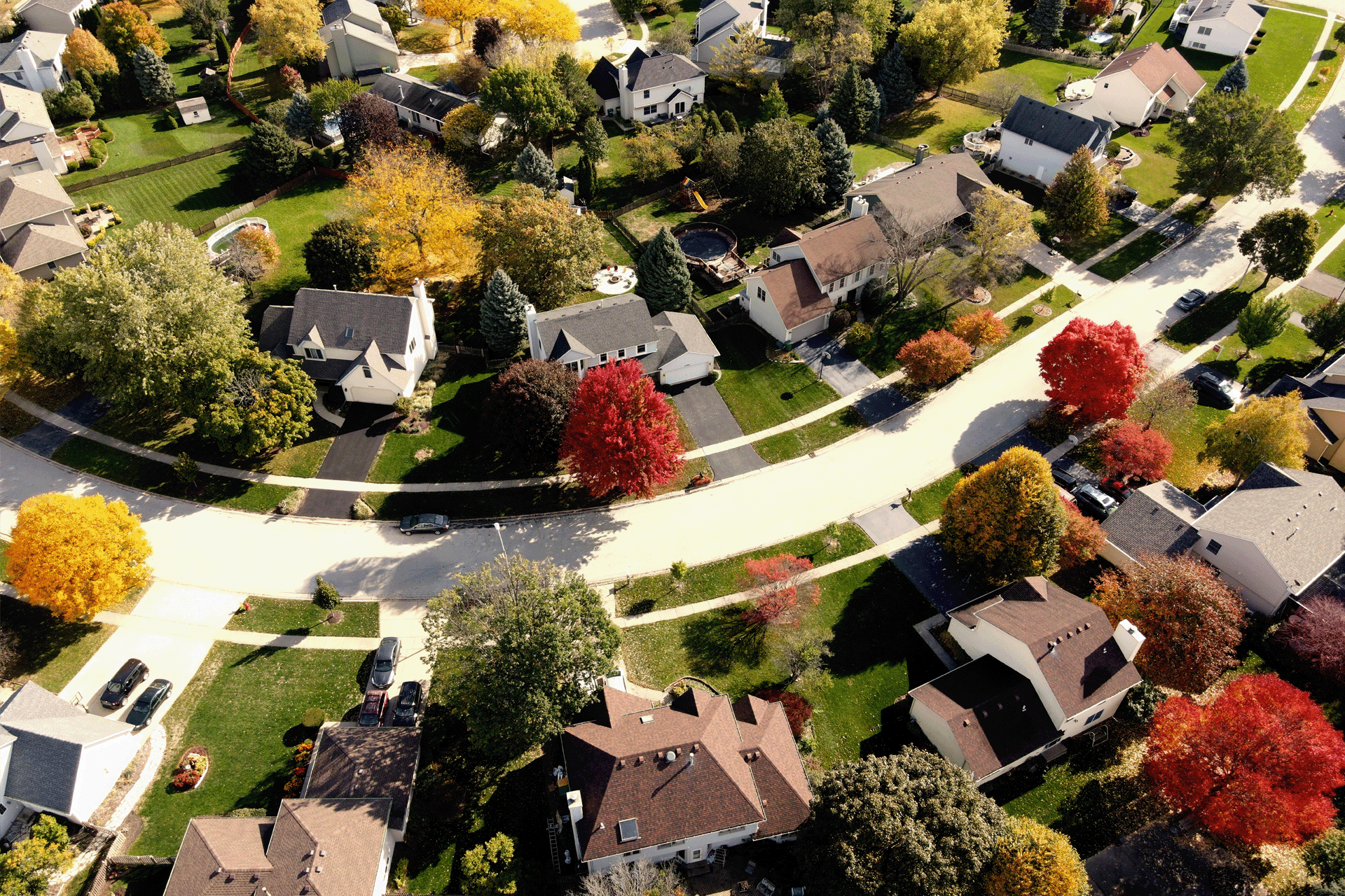 Aerial view of a suburban residential neighborhood with tree-lined streets