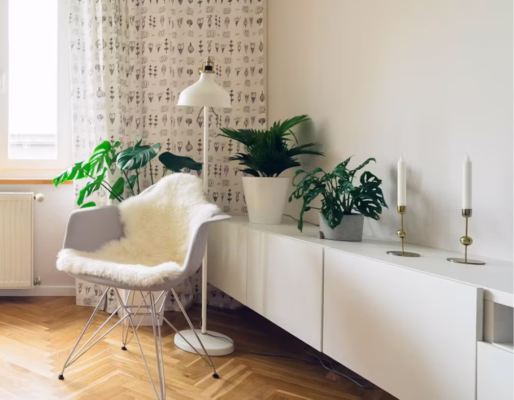 Cleaner mopping a warm wood-floored living room beside a leafy plant and armchair