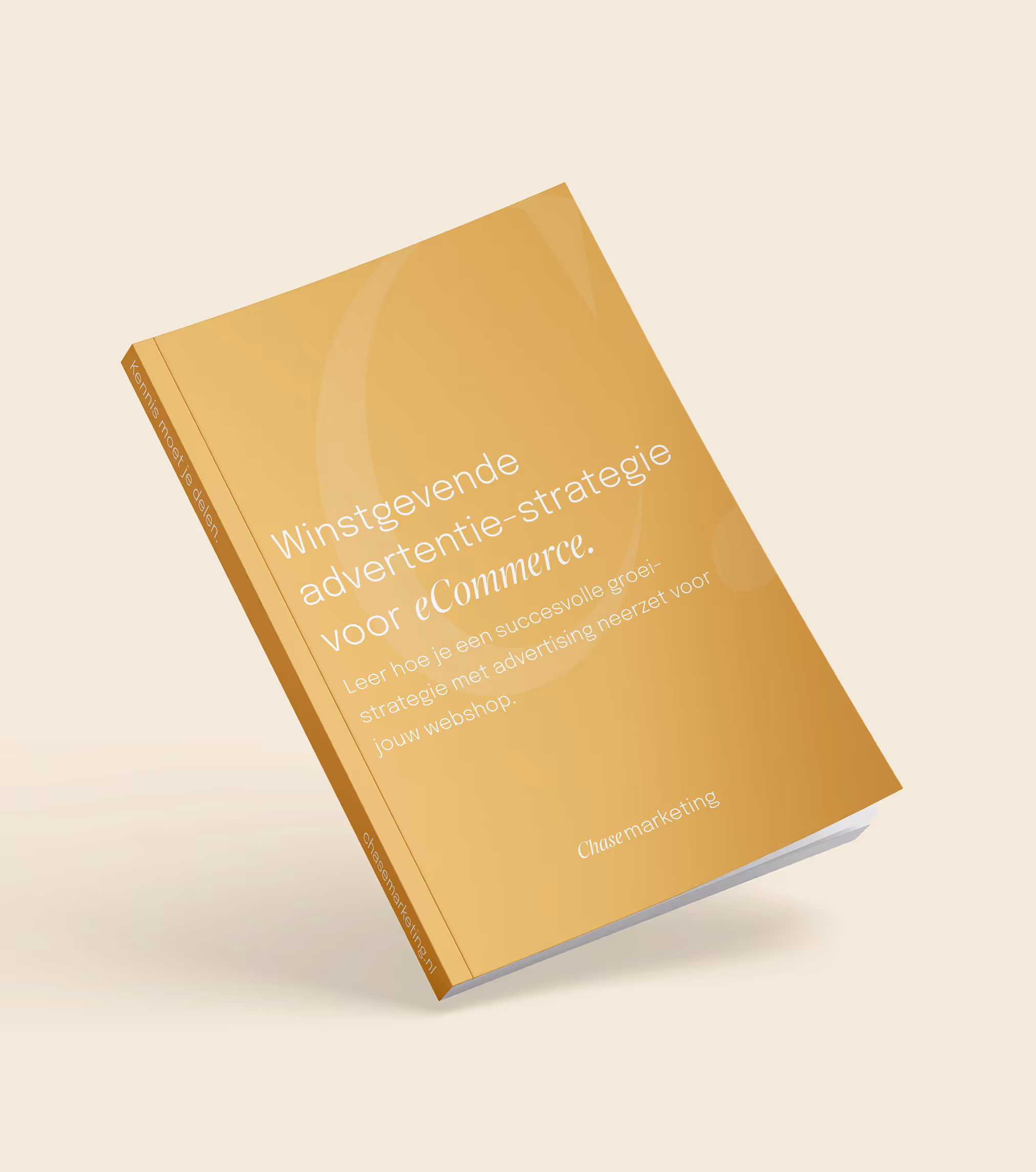 Winstgevende advertentiestrategie voor eCommerce