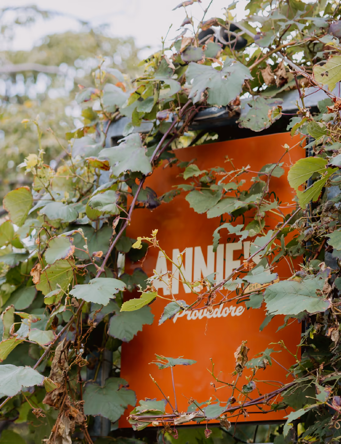 Annie's Provedore