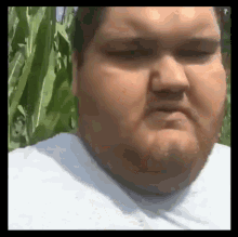 Big Doink Meme-GIF