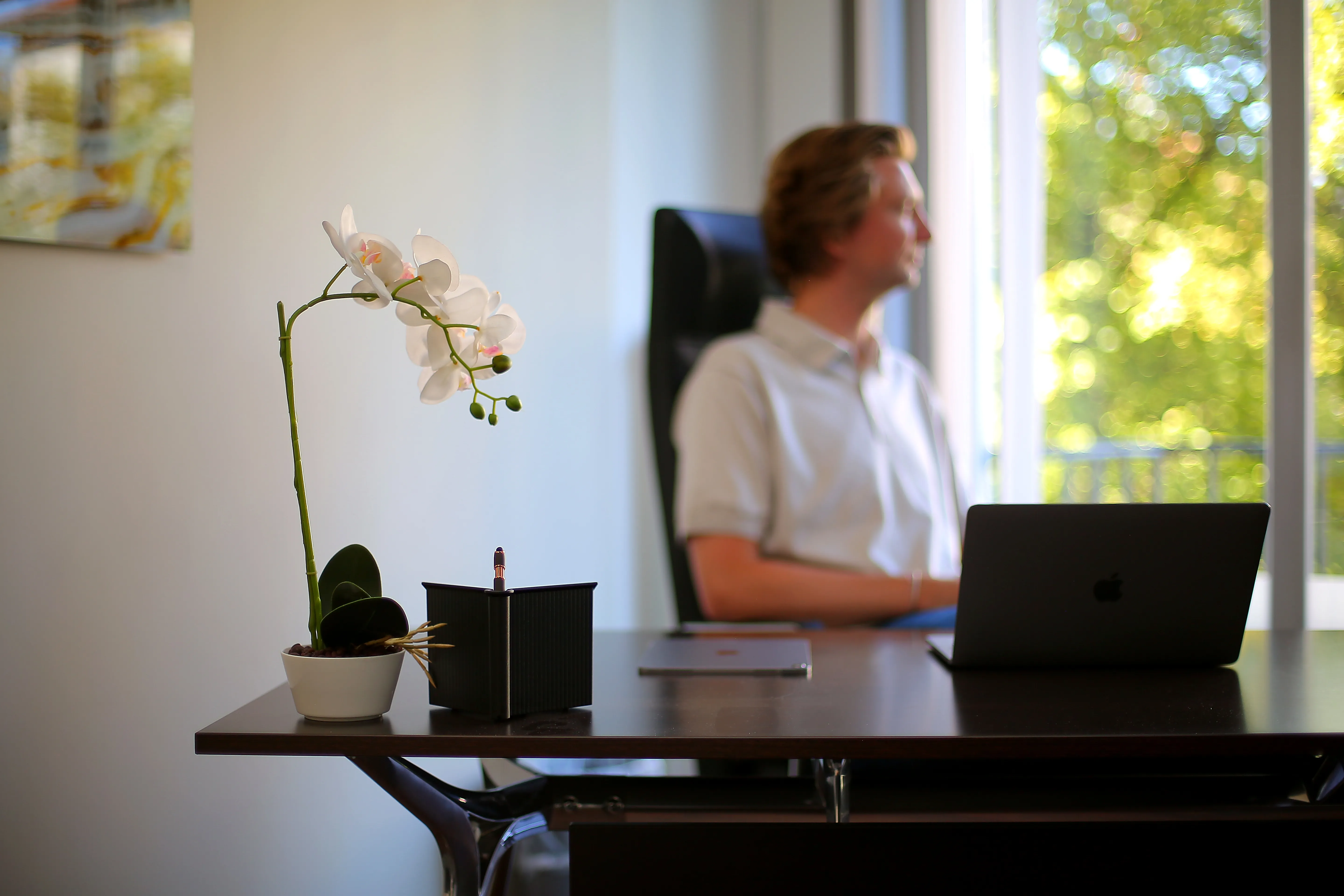 Büro von PLV Immobilienmanagement in München mit Besprechungstisch, Sesseln und Orchidee