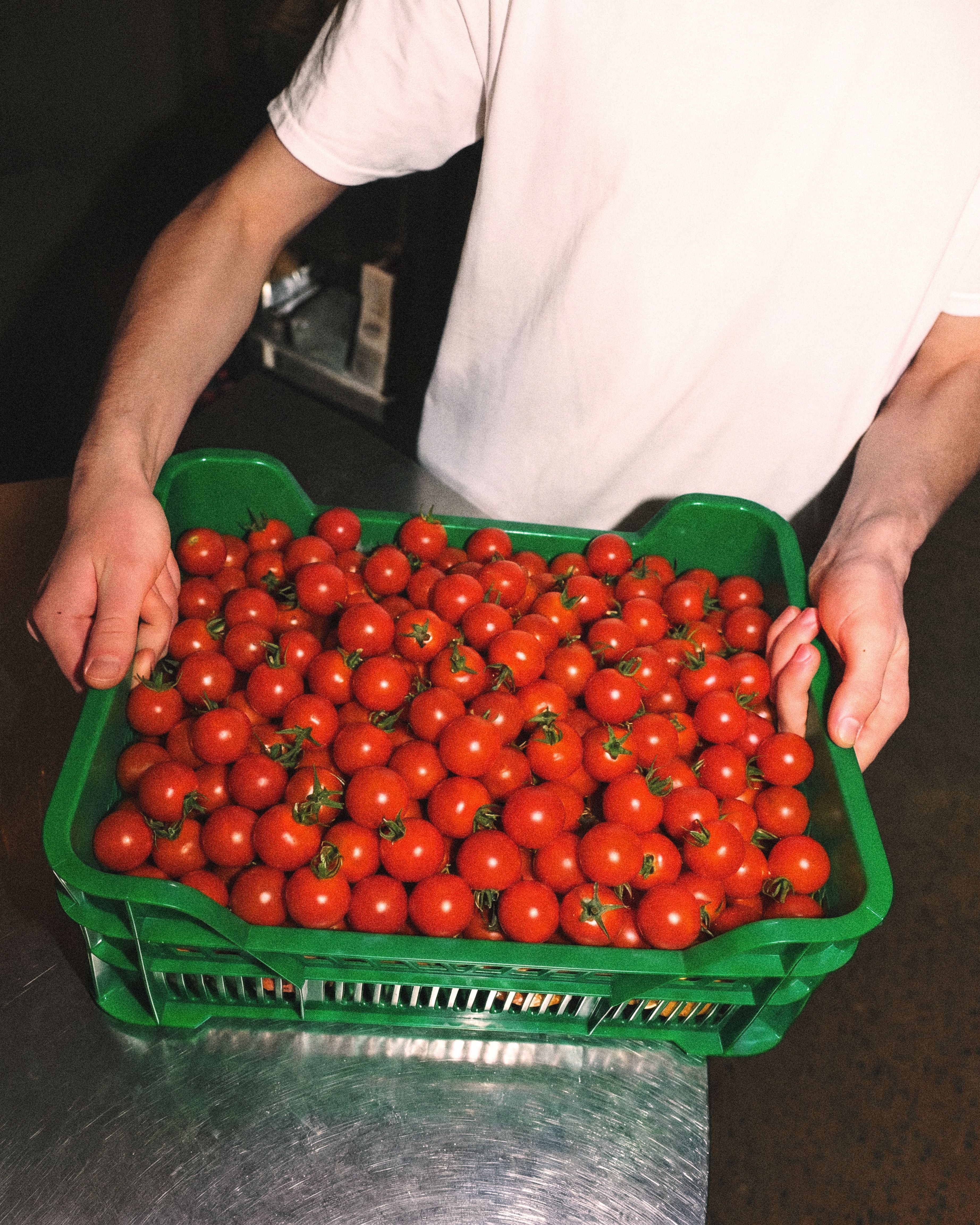 Een persoon houdt een groene krat vol rode tomaten vast.