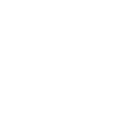 flatz